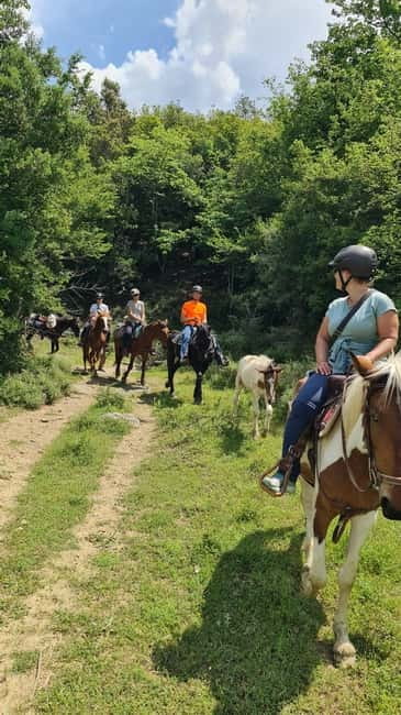 Përmet: Amazing Horse Riding Experience at Vjosa NP - Springs, ruins, and the snack break
