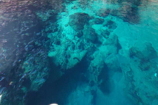Private Half Day Boat Sazani Island & Haxhi Aliu Cave - Swimming inside Haxhi Ali Cave