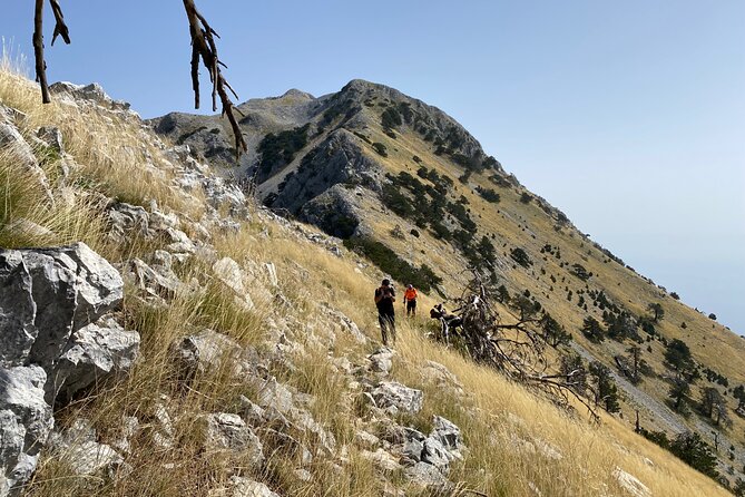 Private Hiking Tour in Çika Mountain - Pine trees, shade, and the long ascent
