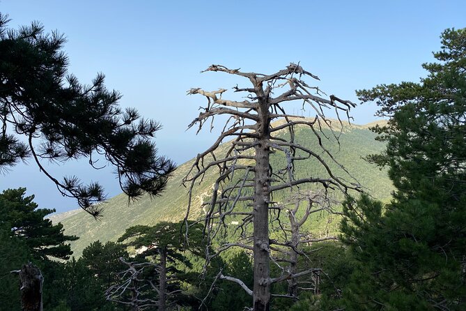 Private Hiking Tour in Çika Mountain - The summit at 2,040 meters