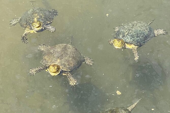 Private Tour to Butrint Park , Blue Eye and Lekursi Castle - The final call