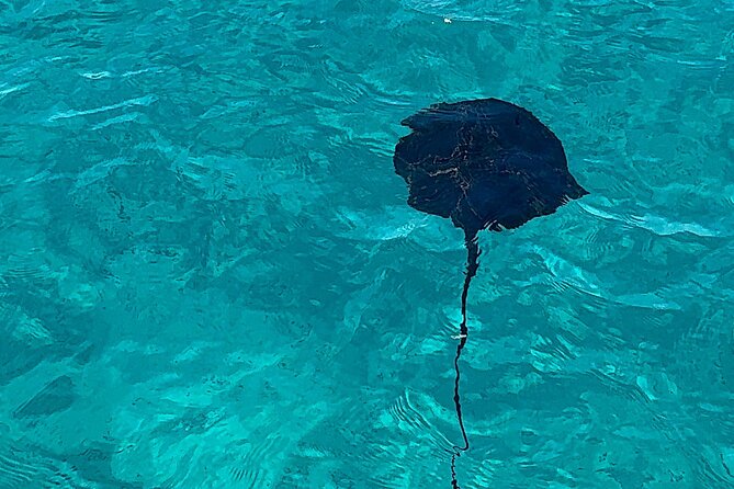 Saranda: Riviera Secrets, Cruise to Krorez and Turquoise Bays - Why this Saranda cruise is more than a beach trip
