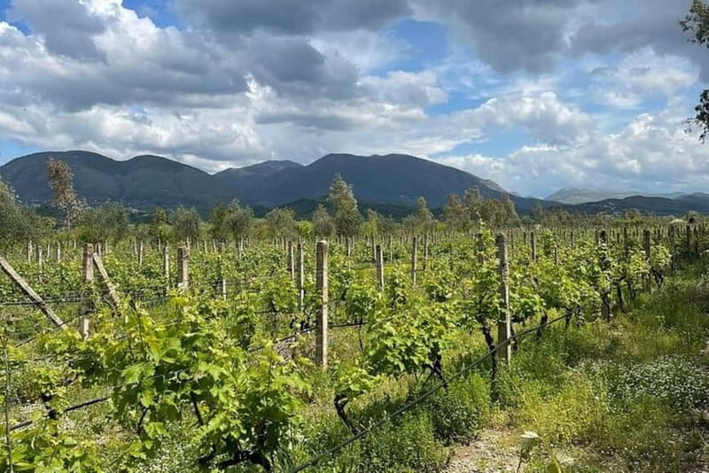 Sarande: Blue Eye & Lekuresi Tour w/ Wine Tasting - Starting at Saranda Port for a quick countryside escape