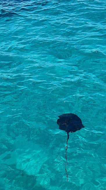 Sarandë Sea Safari: Speedboat to Hidden Coves & Wild Beaches - Quick take: what makes this boat trip worthwhile