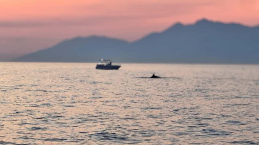 Sarandë Sea Safari: Speedboat to Hidden Coves & Wild Beaches - Kakome Bay and Soldier Bay: the quieter side of Albania