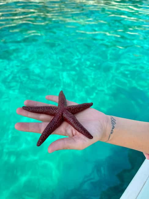 Sarandë Sea Safari: Speedboat to Hidden Coves & Wild Beaches - The captain and the feel on board