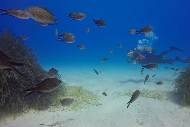 Scuba Diving in MIG-21 wreck - Thirty minutes of instruction that set the tone