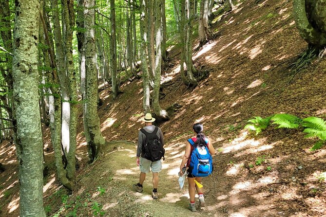 Self-Guided Hiking Tour: Theth, Valbona & Koman Lake in 3 Days - Day one: the long road from Tirana to Theth