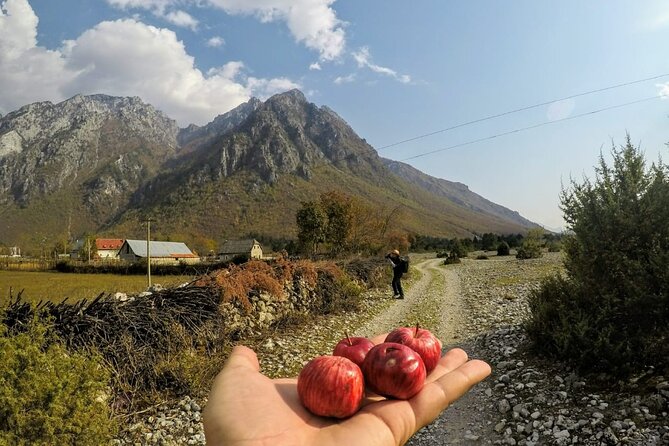 Self-Guided Hiking Tour: Theth, Valbona & Koman Lake in 5 days - Guesthouses, meals, and local contact