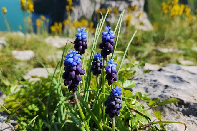 Semi – Private Tour at Cape of Rodon; Hidden Beaches & History - Why Cape of Rodon makes a strong day trip from Tirana