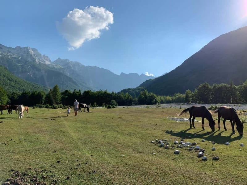 Shkoder: Transfers to Valbona/Theth/Shala River. Both ways. - Who should book this transfer?