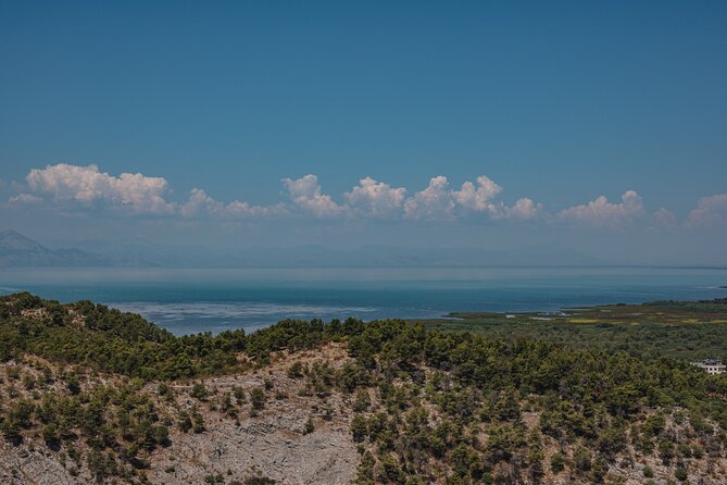 Shkodra from Tirana: Day Tour of castle, city & Skadar Lake - Is $94 good value for a day from Tirana?