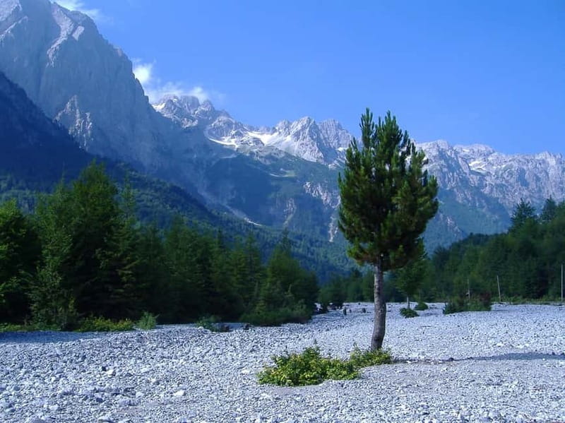 Shkodra to Valbona: including Komani Lake & Shala River Tour - Koman Lake: Albania’s fjord-like boat ride