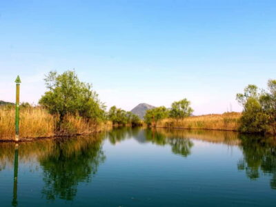 Skadar Lake & Crnojevića River: Swimming, Snacks & Wine