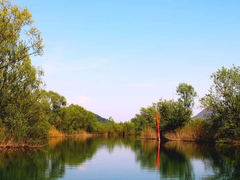 Skadar Lake National Park: Private Wooden Boat Tour & Wine - A short swim in Lake Skadar