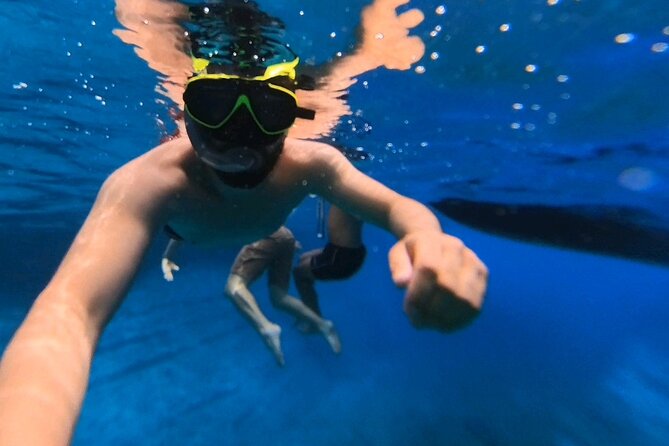 Snorkeling 360 Experience in Sazan Island & Karaburun - Devil’s Gorge and the clearest snorkeling stop
