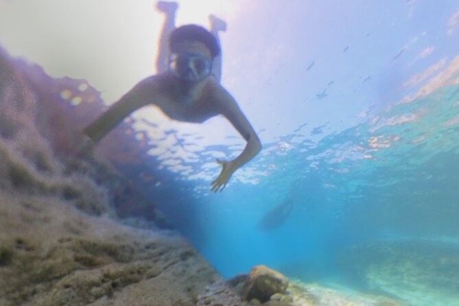 Snorkeling 360 Experience in Sazan Island & Karaburun - Guide service and the small details that shape the day