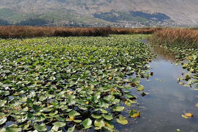Stand Up Paddle Board or Kayak Rental in Shkodër - Freedom to stop, turn around, and set your own pace