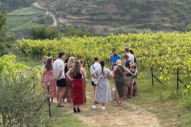 Taste Albania: Wine & Raki Tasting in Berat - From Berat to Roshnik Village at 5:30 pm