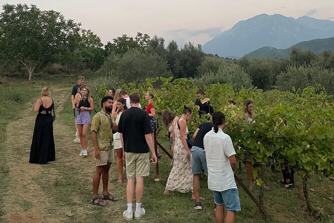 Taste Albania: Wine & Raki Tasting in Berat - Cheese, olives, bread, and homemade food