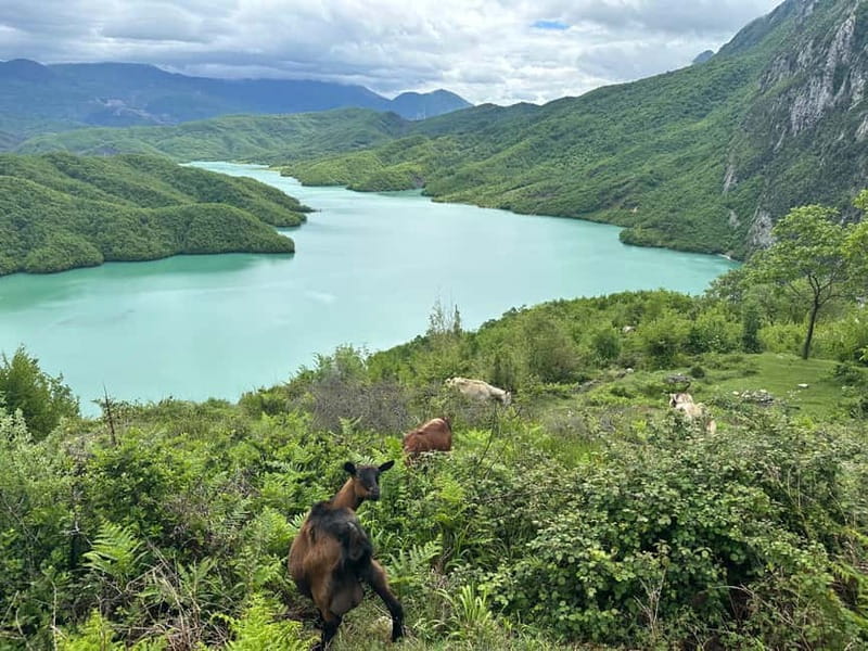 Tirana: Bovilla Lake & Gamti Mountain with SUV, No-Hiking - Bovilla Lake: blue water and a quiet pause