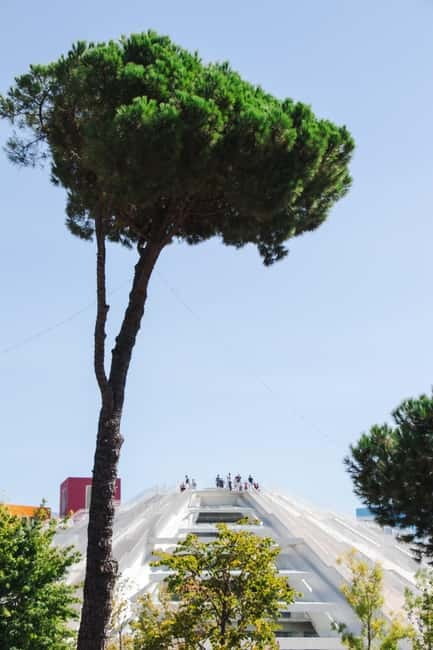 Tirana City & Food Tour - Meals Included (small group) - Timing, group size, and practical planning