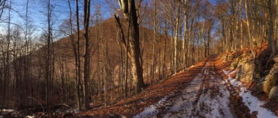Dajti Mountain Half-Day Trip with Cable Car Ticket