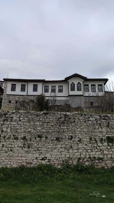 Tirana / Durrës: Berat UNESCO City & Karavasta National Park - Karavasta National Park and its rare pelicans