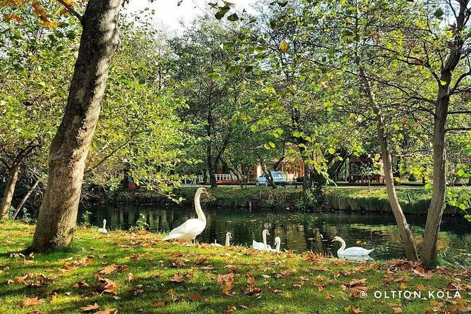 Tirana Hidden Treasures Sightseeing Tour - Tirana Castle: a renovated corner with a different feel