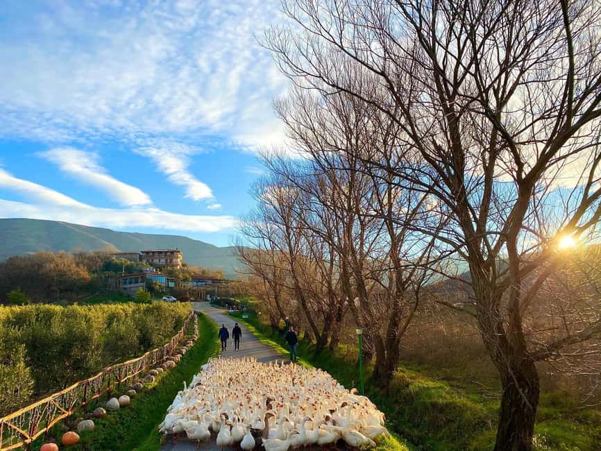 Tirana: Kruja Day Trip with Farm-to-Table Lunch - Leaving Tirana for Kruja