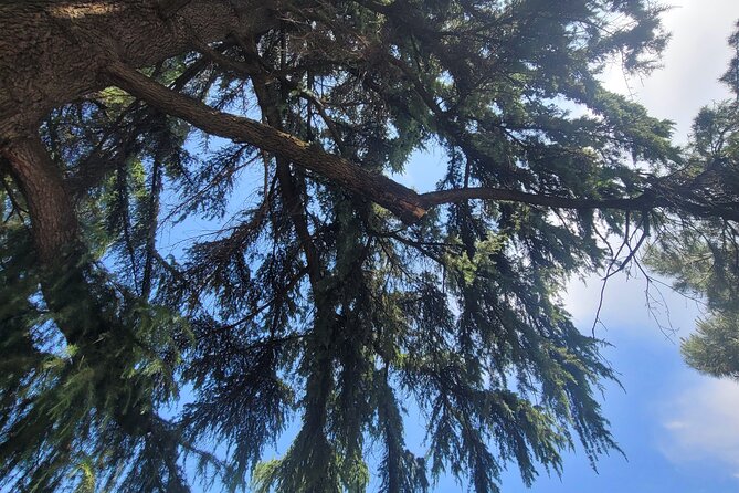 Tirana’s Communist Past: A Tasting Tour with Traditional Lunch - Lunch at Pazari i Ri