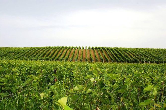 Tour of Kruja and Wine Tasting in one Day from Tirana - Who Should Book This Day Trip?