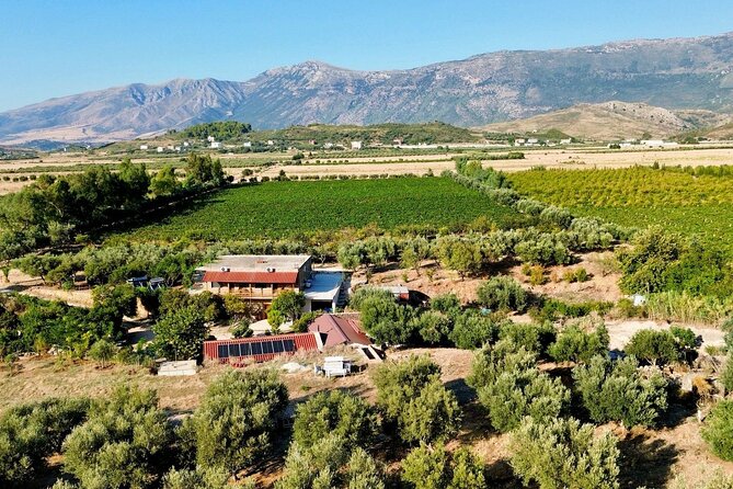 Traditional Albanian Food and Wine Tasting - Key points to know before booking