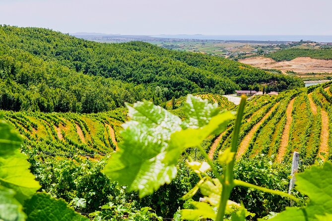 Vineyards, Albanian Wine Tasting & Boat Tour from Tirana/Durres - Why Albanian wine has an old local story