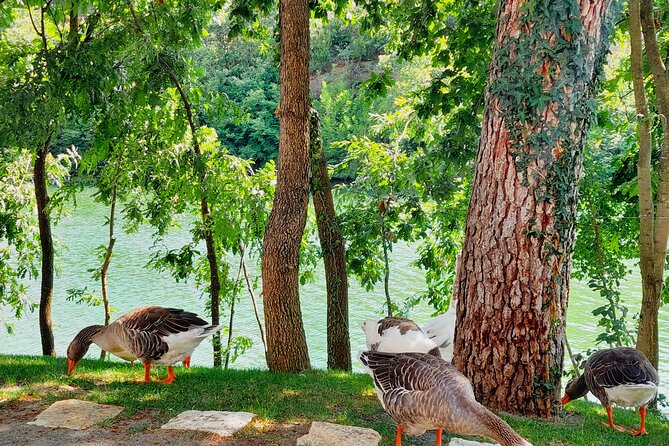 Vineyards, Albanian Wine Tasting & Boat Tour from Tirana/Durres - Is $95.34 a fair price?