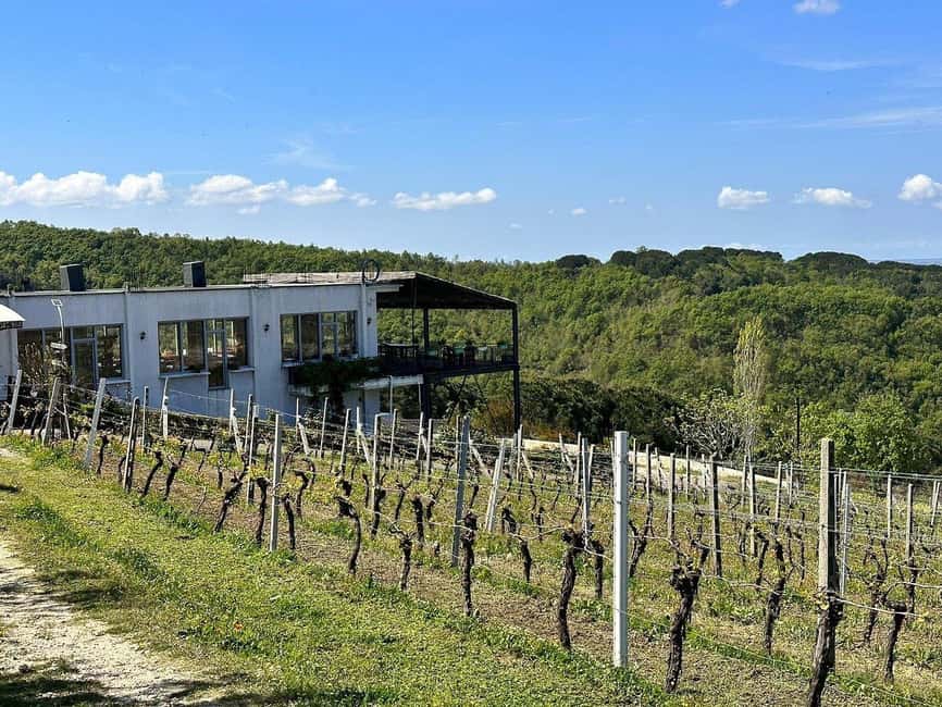 Vlora: Zvernec, Ardenica, Local Winery & Food Experience - A family winery with Albanian food