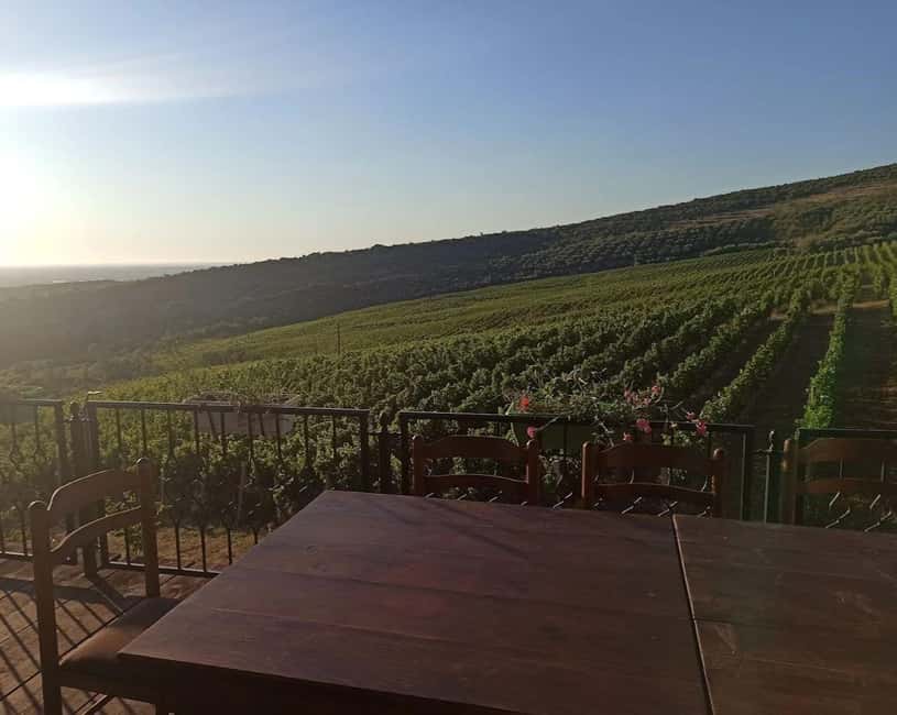 Vlora: Zvernec, Ardenica, Local Winery & Food Experience - What the $106 price includes