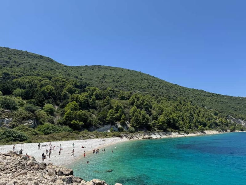 Vlore: Sazan Island, Haxhi Ali Cave & Karaburun by Speedboat - Why this Vlorë boat trip is worth considering