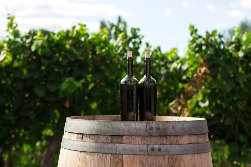 Wine Tasting & Vineyards Escape near Tirana - Who will enjoy this experience most
